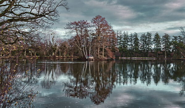 Etang de la Chevalerie - W. Diaf - concours photos 2020