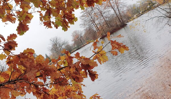 Etang de la Chevalerie- E. Brats - concours photos 2020