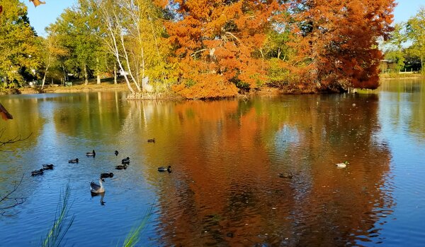 Etang de la Chevalerie à l