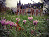 Arboretum des Barres - Château- C. Ray - concours photos 2020