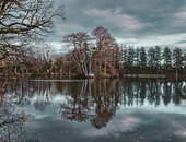 Etang de la Chevalerie - W. Diaf - concours photos 2020