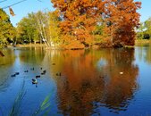 Etang de la Chevalerie à l'automne - C. Talabot - concours photos 2020